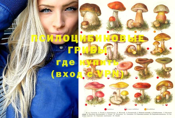 круглые Алексеевка