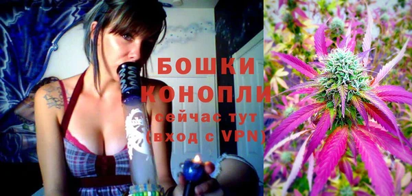 ALPHA PVP Корсаков