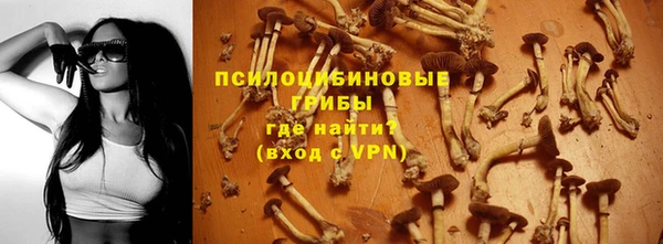 круглые Алексеевка